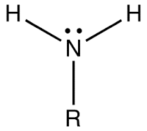 amin%20bac%201.png