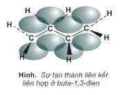 Sự hình thành liên kết trong phân tử butadien