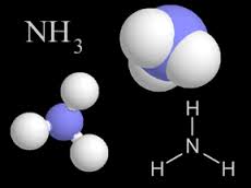 Mô hình phân tử amoniac