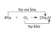 Phương pháp, cách cân bằng phản ứng oxi hóa khử hay, chi tiết