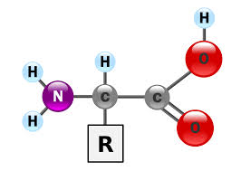Củng cố kiến thức