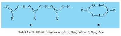 Củng cố kiến thức