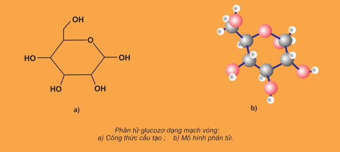 Tìm hiểu về tinh bột là chất rắn vô định hình màu trắng nguồn gốc công  dụng và cách sử dụng hiệu quả