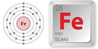 Gia Cố Thanh Sắt Thép Hình ảnh Sẵn có  Tải xuống Hình ảnh Ngay bây giờ   An toàn  Khái niệm Bê tông Bó  Sắp xếp  iStock