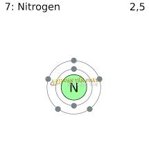 Cấu tạo nguyên tử N