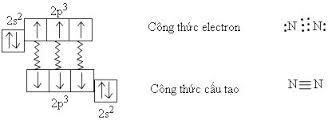 Sự hình thành liên kết trong phân tử N2