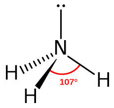 Cấu tạo phân tử amoniac