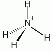 Cấu tạo ion amoni