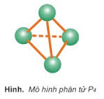Mô hình phân tử P4