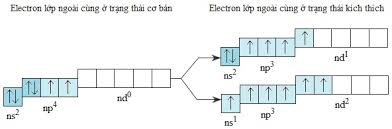 Cấu hình e lớp ngoài cùng