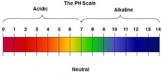 pH và môi trường của dung dịch