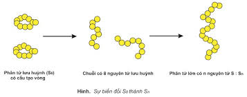 Sự biến đổi trạng thái của S theo nhiệt độ